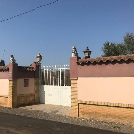 Villa Pilonga Dos Hermanas Dış mekan fotoğraf